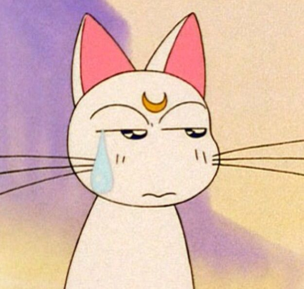 Gato Sorvete